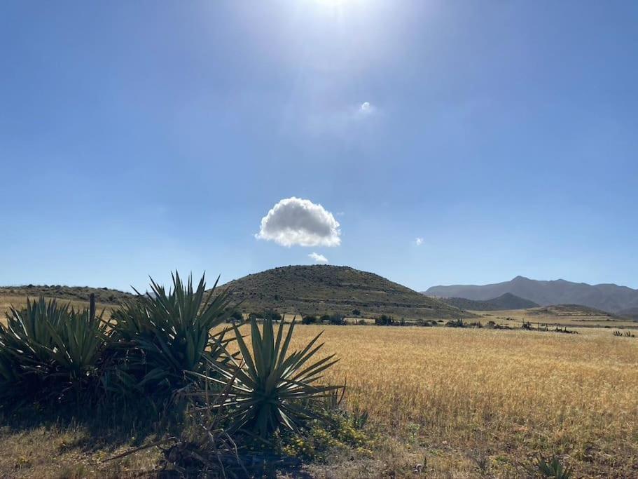 דירות אלמריה Casa Trini מראה חיצוני תמונה
